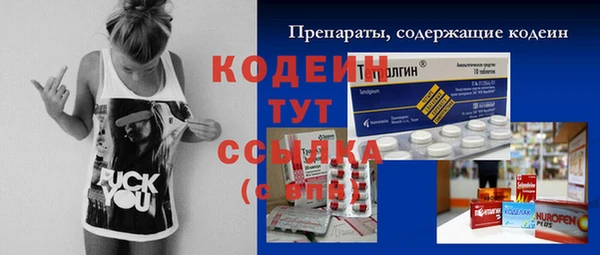 ешки Иннополис