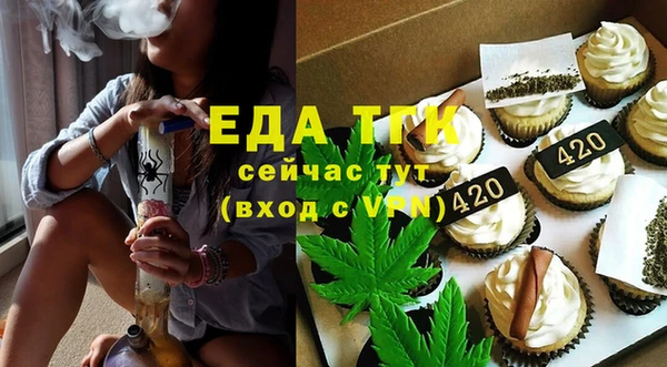 сатива Каменка