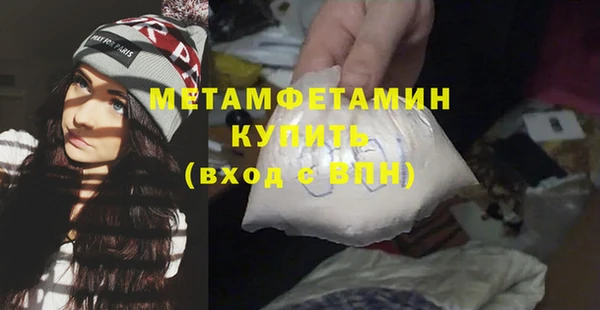 сатива Каменка