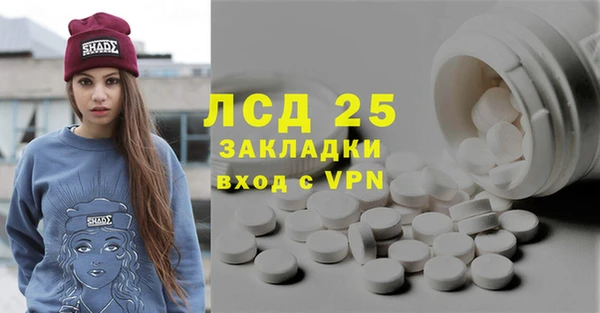 сатива Каменка