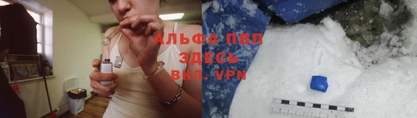 ешки Иннополис