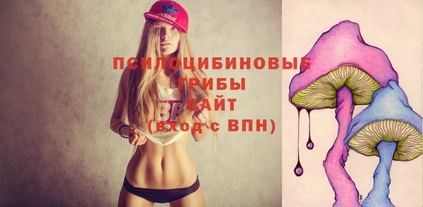 прущая мука Каменск-Шахтинский