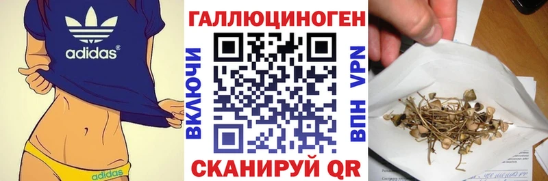 Псилоцибиновые грибы прущие грибы  Купить где  Пудож 