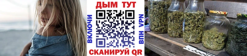 Марихуана Ganja  Купить закладки  Пудож 